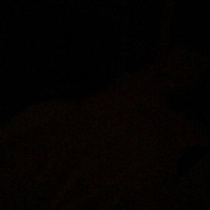 Meet your Posher, Bailey